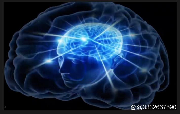 某直播平台头部主播涉嫌虚假宣传,消费者集体维权索赔超千万 - 每日黑料 直播平台头部主播虚假宣传新闻配图